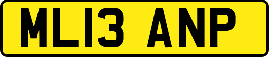 ML13ANP