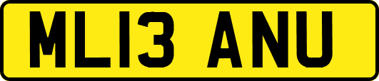 ML13ANU