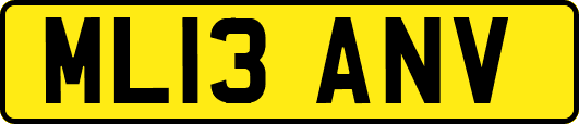 ML13ANV