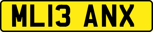 ML13ANX