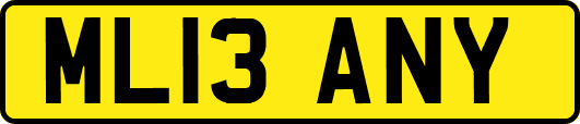 ML13ANY