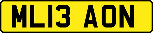 ML13AON