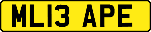 ML13APE
