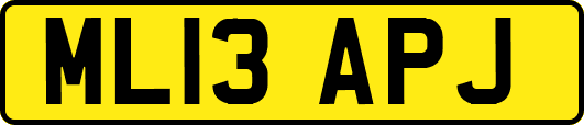 ML13APJ