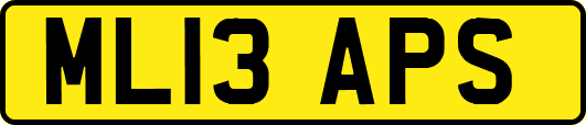 ML13APS