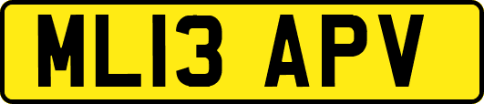 ML13APV