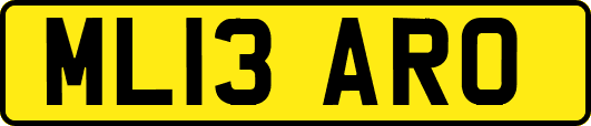 ML13ARO