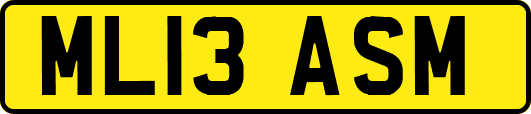 ML13ASM