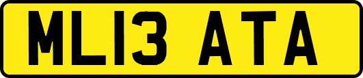 ML13ATA