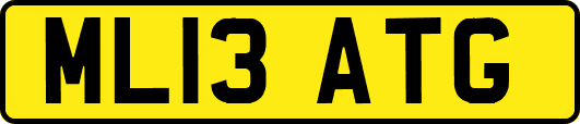ML13ATG