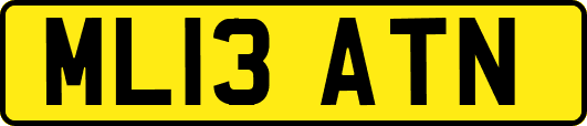ML13ATN