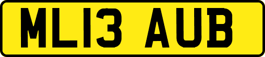 ML13AUB