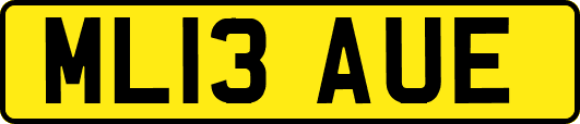 ML13AUE