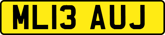 ML13AUJ