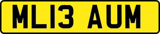 ML13AUM