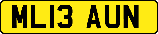 ML13AUN