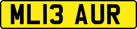 ML13AUR