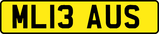 ML13AUS