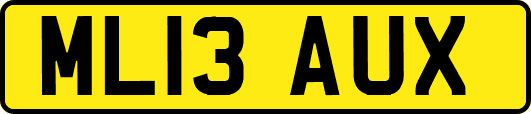 ML13AUX