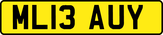 ML13AUY