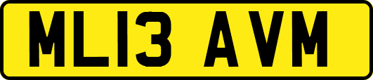 ML13AVM
