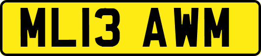 ML13AWM