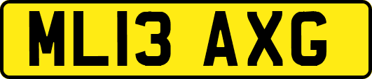 ML13AXG