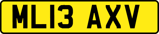 ML13AXV