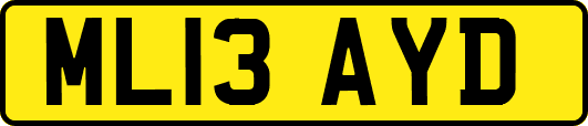 ML13AYD