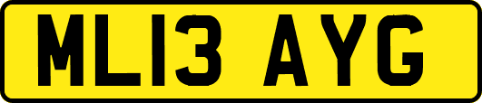 ML13AYG