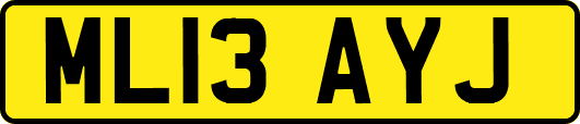 ML13AYJ