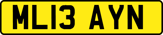 ML13AYN