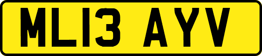 ML13AYV