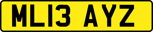 ML13AYZ