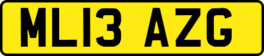 ML13AZG