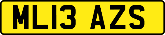 ML13AZS