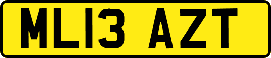 ML13AZT