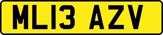 ML13AZV