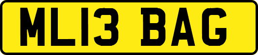 ML13BAG