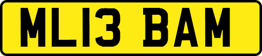 ML13BAM