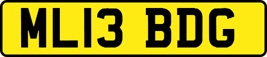 ML13BDG