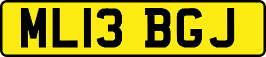 ML13BGJ