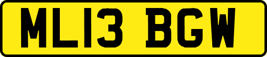 ML13BGW