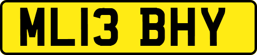 ML13BHY