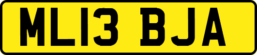 ML13BJA