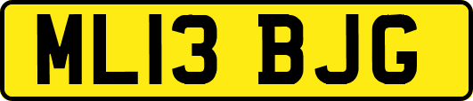 ML13BJG