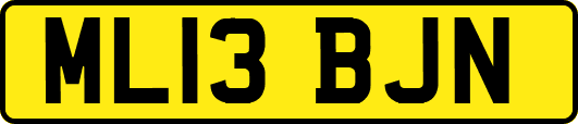 ML13BJN