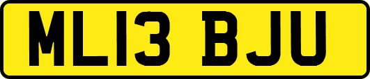 ML13BJU