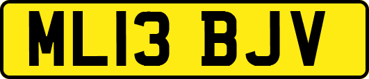 ML13BJV