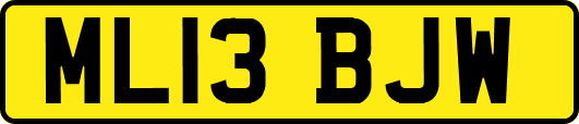 ML13BJW